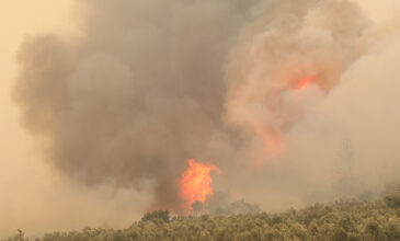Φωτιά στον Έβρο: Για έκτη μέρα δίνεται «μάχη» με τις φλόγες – Προσπάθεια να διασωθούν άκαυτα τμήματα του δάσους της Δαδιάς