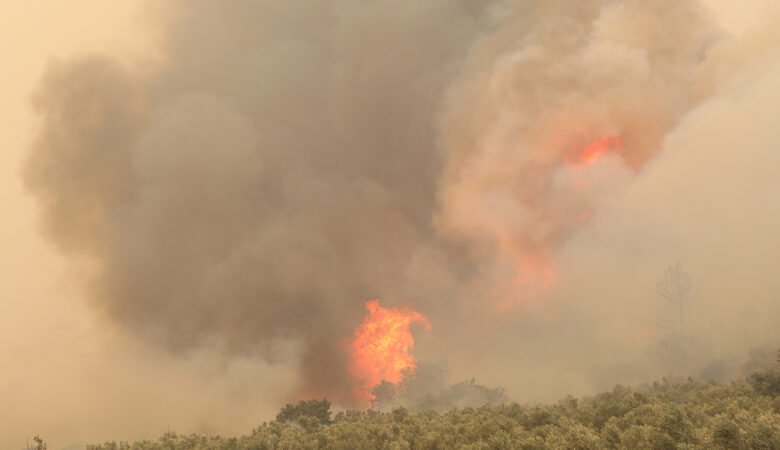 Φωτιά στον Έβρο: Τα οκτώ στάδια εξέλιξης της καμένης έκτασης – Δορυφορικές απεικονίσεις από τη μεγάλη πυρκαγιά