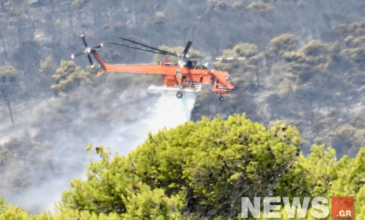 Φωτιά στην Πάρνηθα: «Μάχη» με τις αναζωπυρώσεις – Καλύτερη η εικόνα – Στους δρόμους οι κάτοικοι των Θρακομακεδόνων