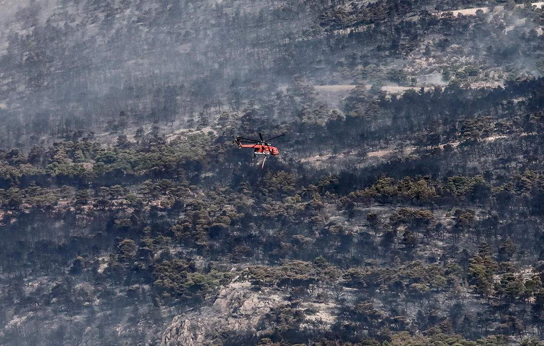 Στοιχεία σοκ για τις φωτιές: Περισσότερα από 1.200.000 στρέμματα έχουν καεί στην Ελλάδα μέσα στο 2023