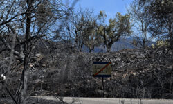Καλύτερη εικόνα παρουσιάζουν τα πύρινα μέτωπα στη Ροδόπη
