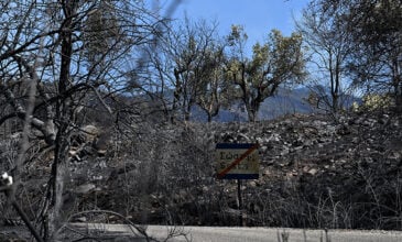 Καλύτερη εικόνα παρουσιάζουν τα πύρινα μέτωπα στη Ροδόπη