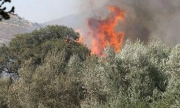 Φωτιά σε δασική έκταση στην Πεύκη Ηλείας – Σηκώθηκε ελικόπτερο