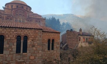 Φωτιά στη Βοιωτία: Ολονύχτια μάχη με το πύρινο μέτωπο – Στις φλόγες η ιστορική Μονή του Οσίου Λουκά