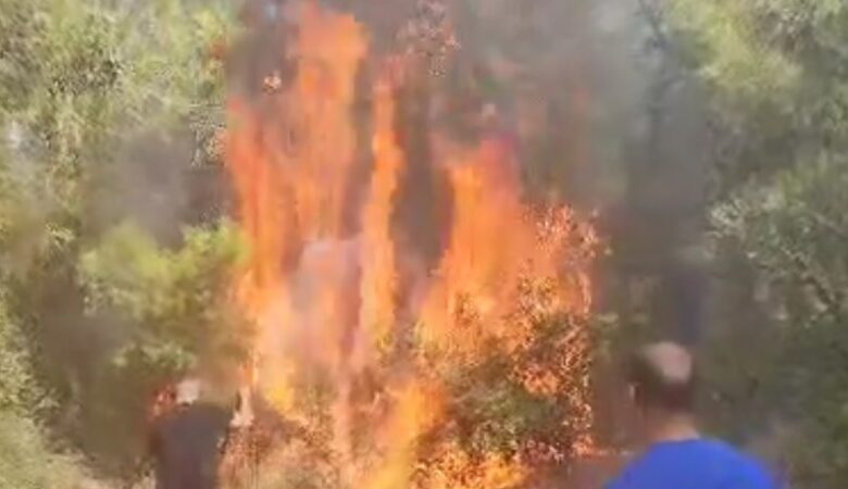 Φωτιά σε δασική έκταση στο Ασπροχώρι Αυλώνας – Τουλάχιστον πέντε ενεργές εστίες