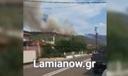 Φωτιά στη Φθιώτιδα: Μεγάλη αναζωπύρωση στη Βίτωλη Μακρακώμης