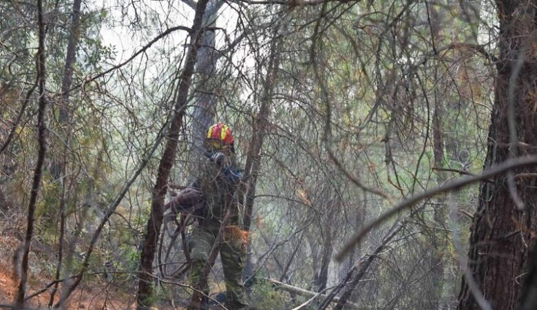 Η φωτιά έκανε στάχτη πάνω από το μισό Εθνικό Πάρκο της Δαδιάς – Κάηκαν 245.299 στρέμματα