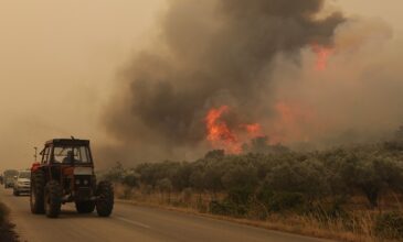 Φωτιά στον Έβρο: Συνεχείς αναζωπυρώσεις στο μέτωπο της Αλεξανδρούπολης