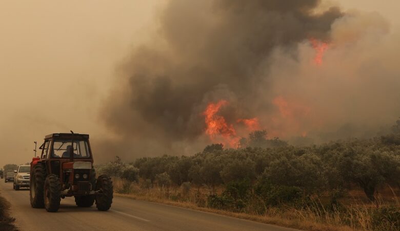 Φωτιά στον Έβρο: Συνεχείς αναζωπυρώσεις και νέες εκκενώσεις οικισμών