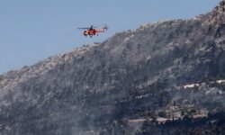 «Mάχη» μετα πύρινα μέτωπα για 7η ημέρα στον Έβρο – Αναζητούνται δύο ύποπτοι στην Εύβοια για εμπρησμό