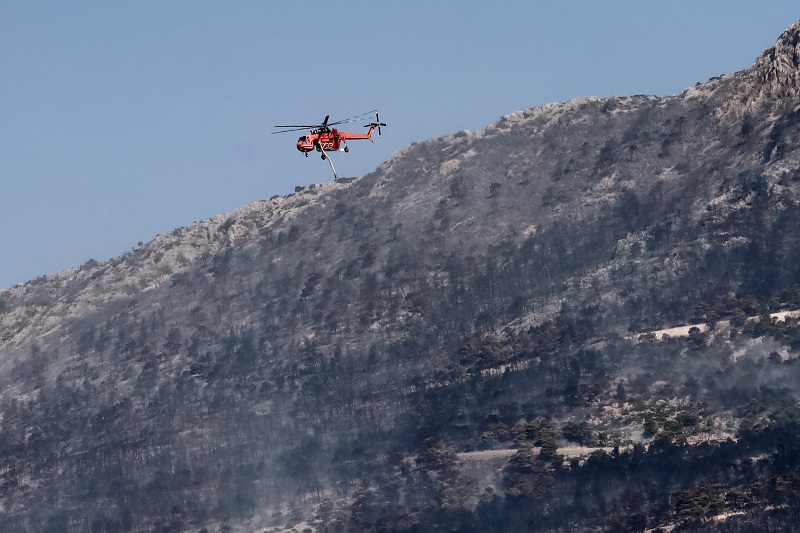 «Mάχη» μετα πύρινα μέτωπα για 7η ημέρα στον Έβρο – Αναζητούνται δύο ύποπτοι στην Εύβοια για εμπρησμό