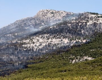 Οι φωτιές έκαναν στάχτη τα τελευταία 7 χρόνια το 33% των δασών της Αττικής