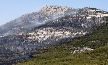 Οι φωτιές έκαναν στάχτη τα τελευταία 7 χρόνια το 33% των δασών της Αττικής