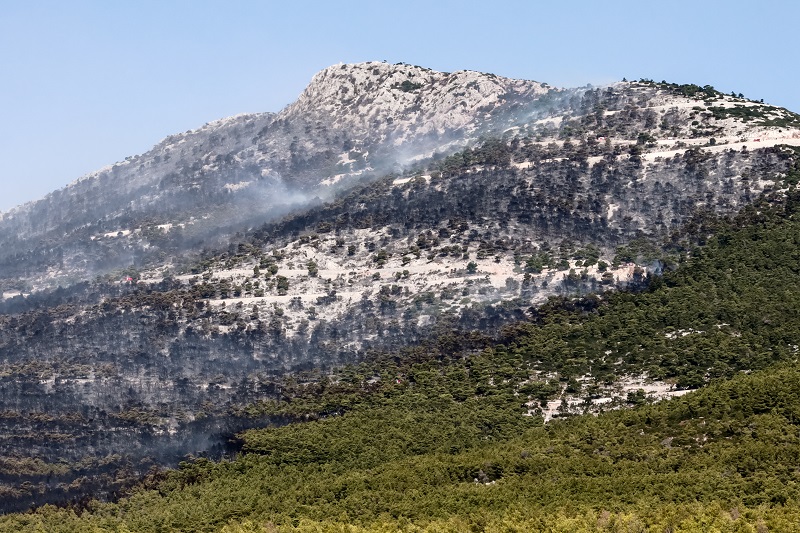 Οι φωτιές έκαναν στάχτη τα τελευταία 7 χρόνια το 33% των δασών της Αττικής