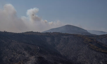 Μεγάλη φωτιά στον Έβρο: Αναζωπυρώσεις περιμετρικά της Κοτρωνιάς – Απομακρύνθηκε υποχρεωτικά τηλεοπτικό συνεργείο