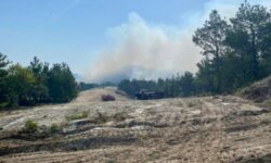 Φωτιά στον Έβρο: Ισχυρό το πύρινο μέτωπο – «Αντιμετωπίσαμε περισσότερες από 600 πυρκαγιές»