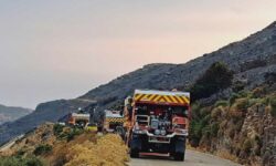 «Μάχη» με τις φλόγες στην Άνδρο και τις αναζωπυρώσεις σε Έβρο, Βοιωτία, Πάρνηθα