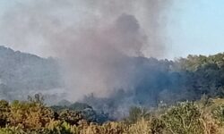 Φωτιά στον Έβρο: Ανεξέλεγκτα παραμένουν δύο μέτωπα – «Μάχη» με τον χρόνο καθώς ενισχύονται οι νοτιάδες