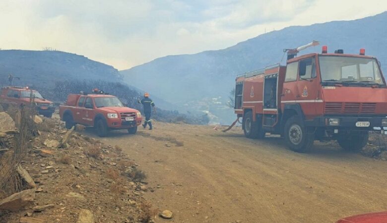 Βελτιωμένη η κατάσταση από την φωτιά στην Άνδρο – Συνεχείς αναζωπυρώσεις σε Έβρο και Πάρνηθα