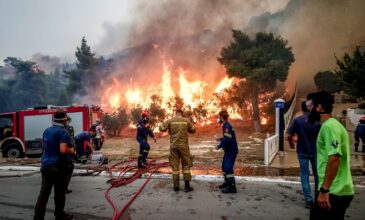 Σοκ στην Πάρνηθα: Απανθρακωμένο κρανίο βρέθηκε μετά την μεγάλη φωτιά στην Χασιά