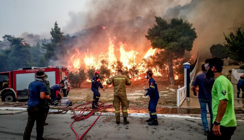 Σοκ στην Πάρνηθα: Απανθρακωμένο κρανίο βρέθηκε μετά την μεγάλη φωτιά στην Χασιά