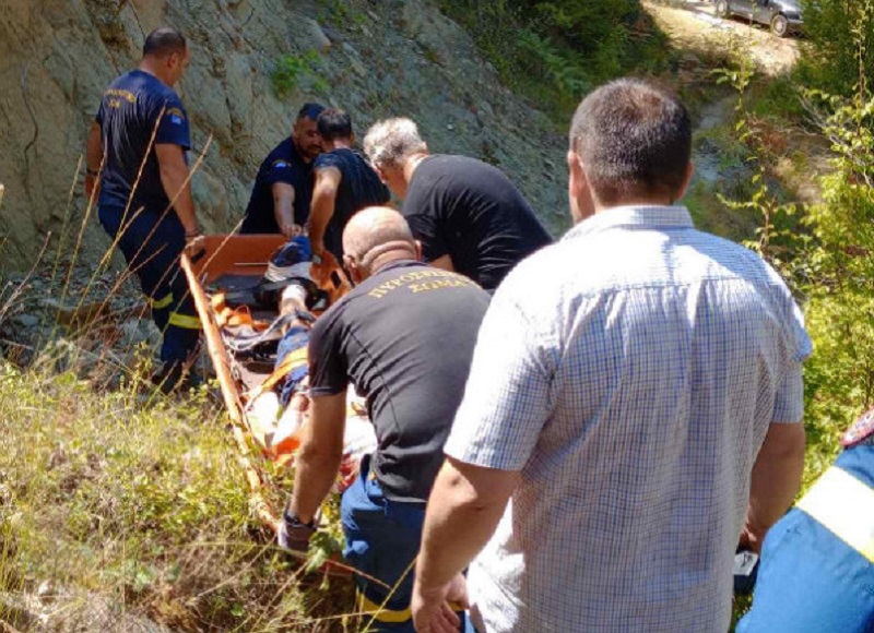 Επίθεση από αρκούδα δέχθηκε 67χρονος στην Άρτα