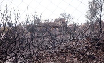 Μετά τις φωτιές «τρέχει» να προλάβει τις πλημμύρες η κυβέρνηση – Τα μέτρα για τη νέα αντιπυρική περίοδο