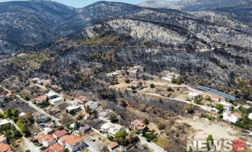 Αποκαρδιωτικές εικόνες καταστροφής μετά την μεγάλη πυρκαγιά στην Πάρνηθα – Δείτε τις αεροφωτογραφίες του News