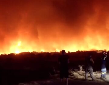 «Μάχη» με τα πύρινα μέτωπα στην Ηλεία – Στις φλόγες σπίτια σε Απιδούλα και Μαζαράκι – Το 112 έστειλε 26 μηνύματα
