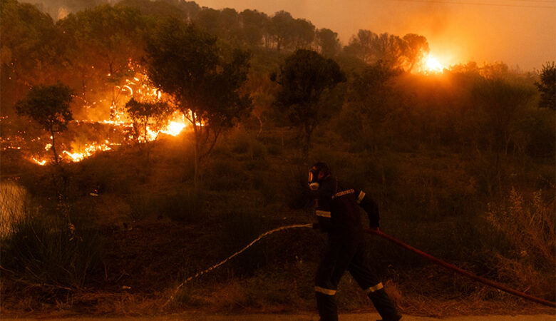 Τεράστια πυρκαγιά στον Έβρο: Αδιάκοπη είναι η μάχη των δυνάμεων της Πυροσβεστικής με τη φωτιά που καίει εδώ και 15 ημέρες