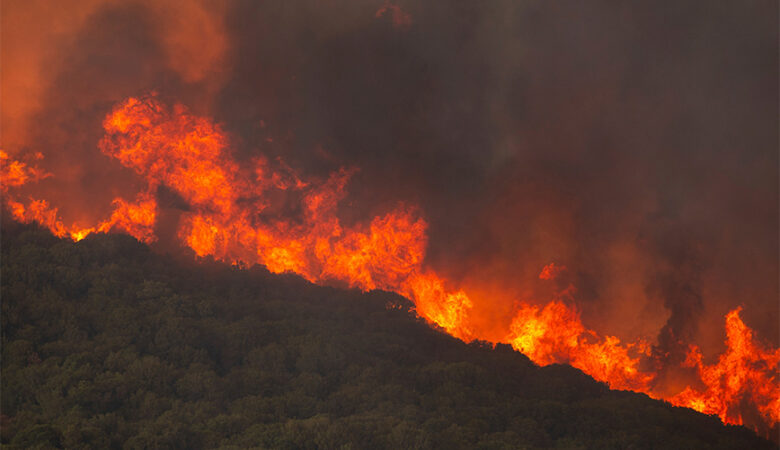 Πολύ υψηλός κίνδυνος φωτιάς για το Σάββατο σε τέσσερις περιοχές της χώρας