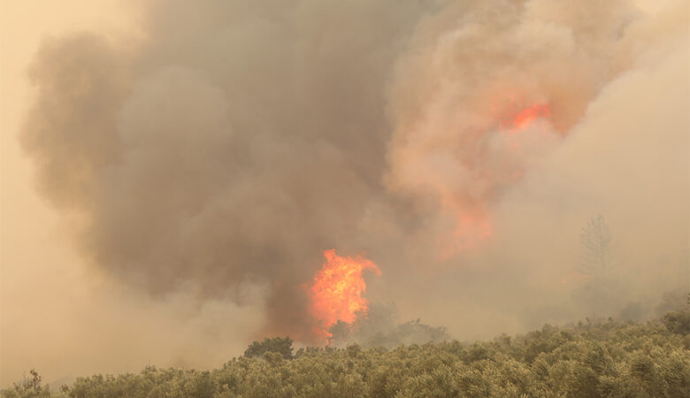 Φωτιά στη Μαγνησία – Μήνυμα εκκένωσης στην περιοχή «Άσπρες Πεταλούδες» από το 112