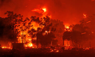 Σοκάρουν τα στοιχεία για τις πυρκαγιές: Πάνω από 1.600.000 στρέμματα έχουν γίνει στάχτη – 270% αύξηση των καμένων εκτάσεων