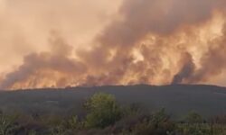 «Κόλαση» πυρός σε Αχαΐα και Αργολίδα – Διαρκή μηνύματα του 112 για εκκενώσεις περιοχών