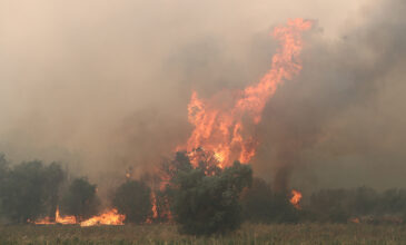 Μεγάλη φωτιά στην Εύβοια: Εκκενώνεται το χωριό Αμυγδαλιά – Απειλούνται σπίτια