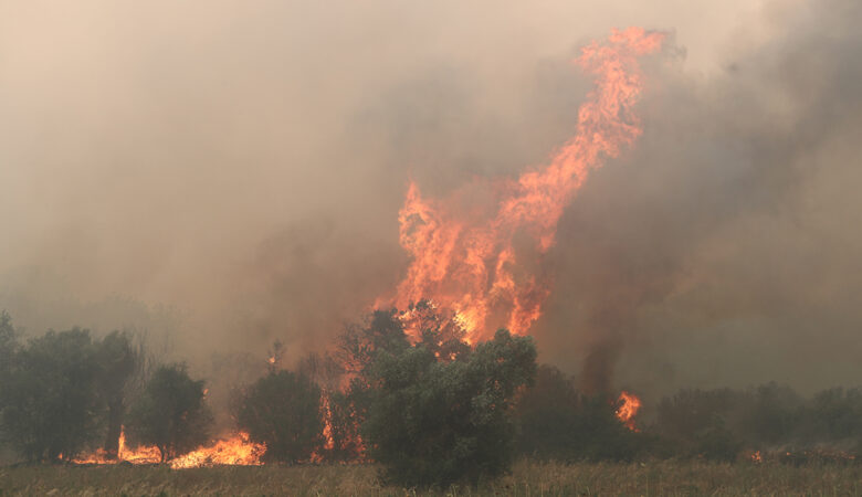Μεγάλη φωτιά στην Εύβοια: Εκκενώνεται το χωριό Αμυγδαλιά – Απειλούνται σπίτια