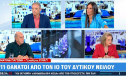 Παγώνη: «Πρέπει να γίνουν προληπτικά ψεκασμοί για τον ιό του Δυτικού Νείλου»