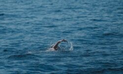 Βέλγος κολύμπησε 131 χλμ στον Κορινθιακό καταρρίπτοντας το παγκόσμιο ρεκόρ ανοιχτής θαλάσσης