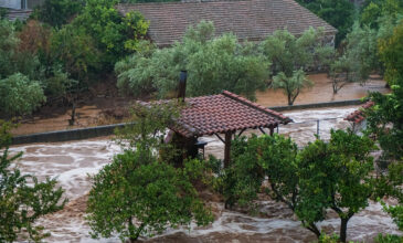 Πήλιο: Συναγερμός στην ΕΜΑΚ για τον εντοπισμό νιόπαντρου ζευγάρι Αυστριακών που αγνοείται στα Ποτιστικά