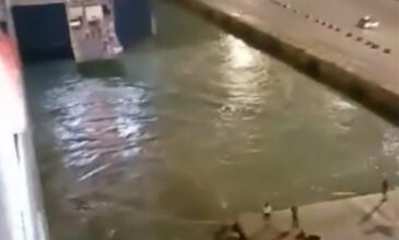 Ασύλληπτη τραγωδία στον Πειραιά με νεκρό 36χρονο: Καρέ – καρέ τα δευτερόλεπτα πριν ο άνδρας πέσει στη θάλασσα – «Σώστε τον άνθρωπο, μαζέψτε τον»