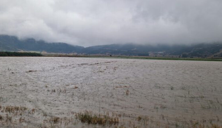 Κακοκαιρία Daniel: Χιλιάδες στρέμματα καλλιεργειών έχουν πλημμυρήσει στα Τέμπη