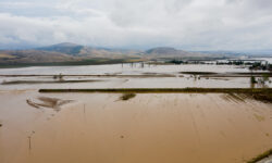 Λέκκας για Θεσσαλία: Μετά από 5 χρόνια θα μειωθεί ο κίνδυνος καταστροφών από ισχυρές βροχοπτώσεις
