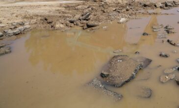 Λινού για πλημμύρες στη Θεσσαλία: Η απειλή της λεπτοσπείρωσης – Σοβαρή αρρώστια από τα νεκρά ζώα