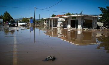 Τριαντόπουλος: Μέχρι τώρα έχουν καταβληθεί 220 εκατ. ευρώ σε πλημμυροπαθείς του 2023