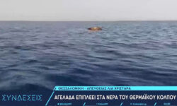Περίεργο θέαμα στον Θερμαϊκό: Μια νεκρή αγελάδα επιπλέει στα νερά του – Δείτε βίντεο