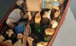 Εντοπίστηκαν 53 βόμβες μολότοφ και 4 εκρηκτικοί εμπρηστικοί μηχανισμοί σε ΚΑΠΗ στον Ασπρόπυργο