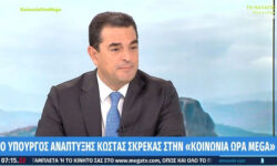 Σκρέκας: Η ακρίβεια είναι το μεγαλύτερο πρόβλημα που αντιμετωπίζουν τα ελληνικά νοικοκυριά σήμερα