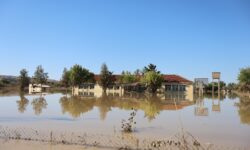 Ενεργοποίηση της κρατικής αρωγής για τις απώλειες σε φυτικό κεφάλαιο σε περιοχές που επλήγησαν από φυσικές καταστροφές το 2023