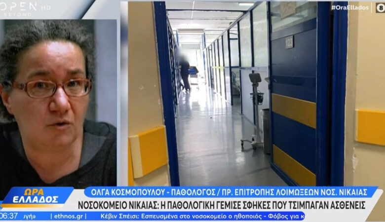 Τραγικές συνθήκες στο νοσοκομείο Νίκαιας: «Βρέθηκε μία φωλιά από σφίγγες μέσα σε έναν θάλαμο» λέει παθολόγος