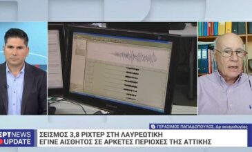 Γεράσιμος Παπαδόπουλος για τον σεισμό στην Λαυρεωτική: «Η αυξανόμενη ένταση του φαινομένου προκαλεί προβληματισμό»